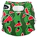 Imagine Baby Products Stay Dry All-in-One Hook and Loop Diaper, Watermelon Patch