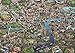 Jumbo Map of London Jigsaw Puzzle (1000 Piece)