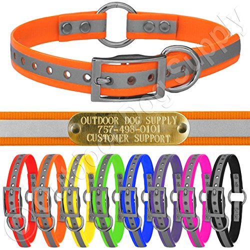 Top 10 Best Dog Collars With Name Plates Top Reviews No Place Called Home