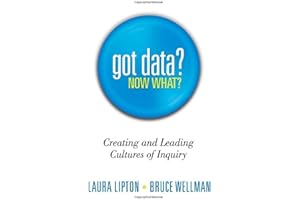 Got Data? Now What?: Creating and Leading Cultures of Inquiry - A practical book for teacher teams on gathering and interpreting assessment and other school data