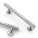 Asidrama 10 Pack 3.75 Inch(96mm) Brushed Satin