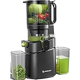 AMZCHEF Cold Press Juicers, 5.8" Self-Feeding Juicer Machines for Whole Vegetable & Fruit, Masticating Juice Easy to Clean, H