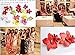 DreamLily Hawaiian Orchid Flower Hair Clip Hair pins for Beach Party BC14 (Red#1)