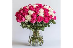 GlobalRose 50 Fresh Cut Roses - 25 Hot Pink & 25 White - Fresh Flowers Bouquet - Flowers for Anniversary