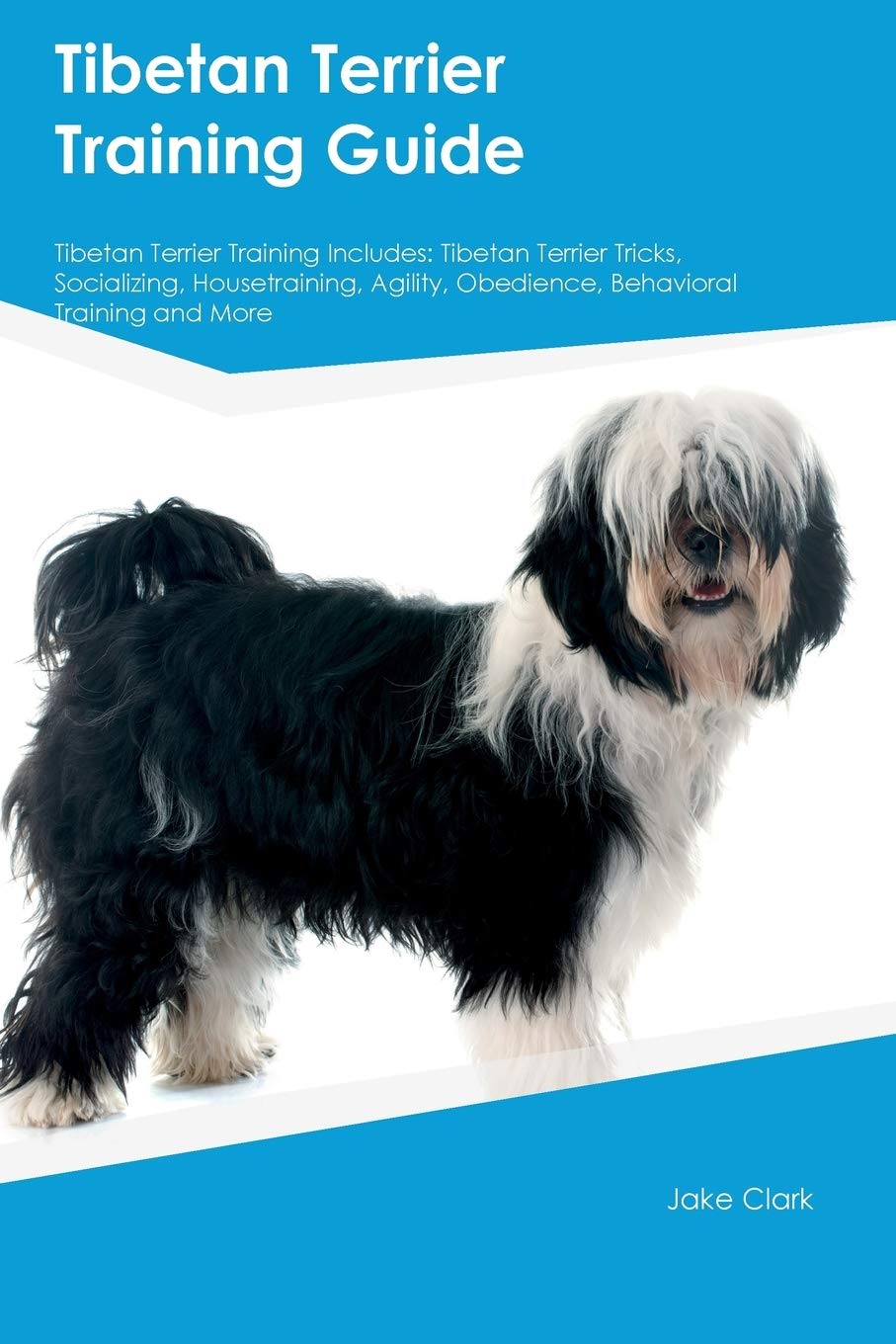 tibetan terrier training