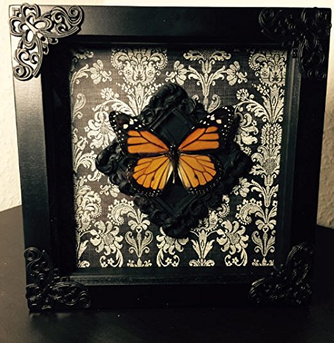 Schattenbox | Amazon Handmade