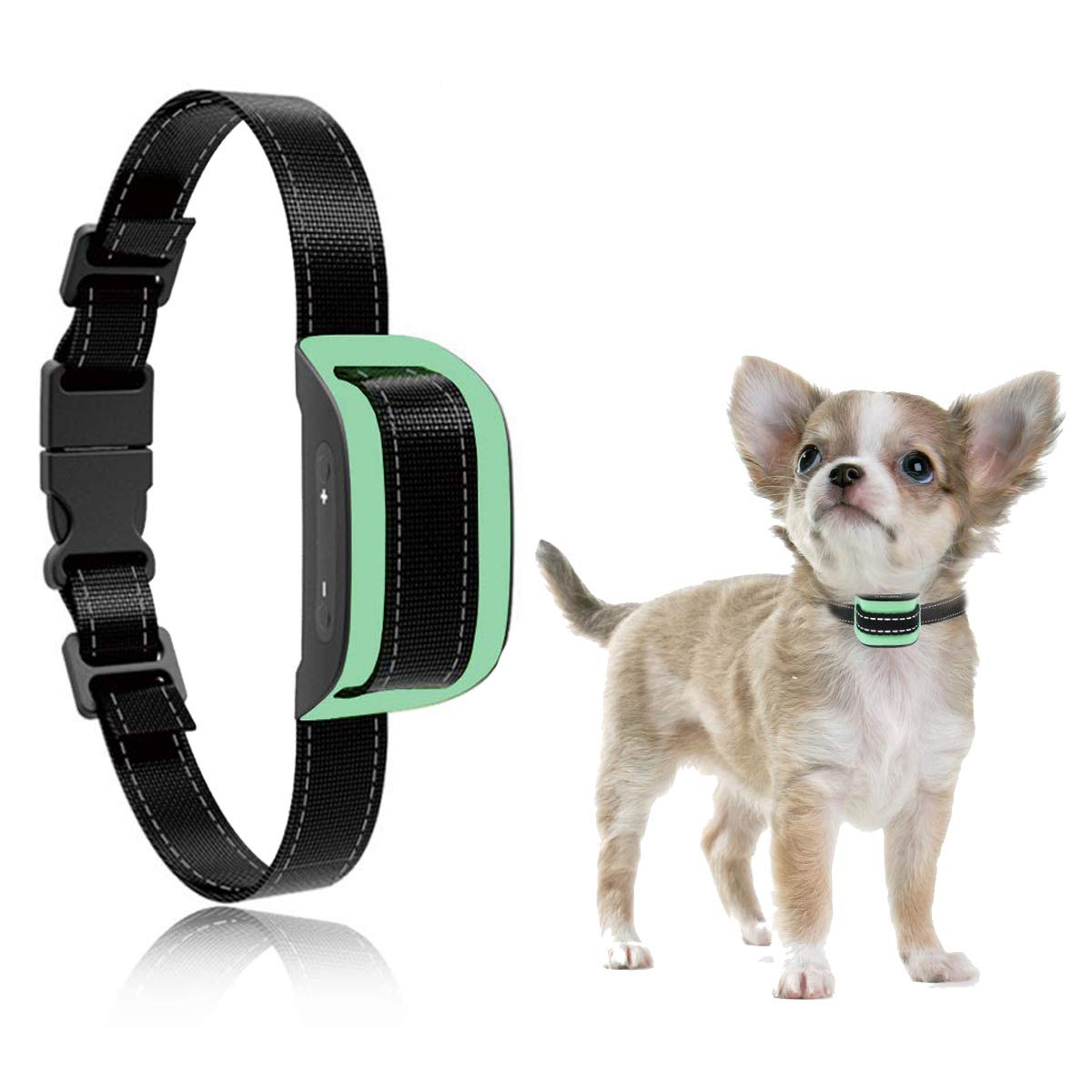 best bark collar for small dogs 2019
