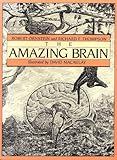 The Amazing Brain