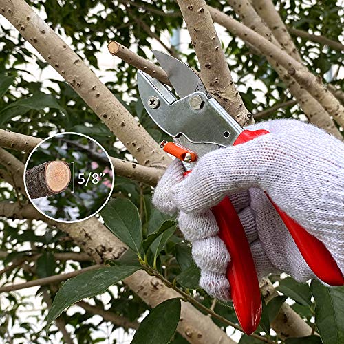 Mifuse 55127 7" Garden Scissors with Pointed Replaceable Blade Heavy Duty Hand Pruners Anvil