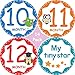 Premium Baby Monthly Stickers By Tiny Stars, 14 PC Pack of 4