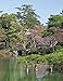 The Art of the Japanese Garden