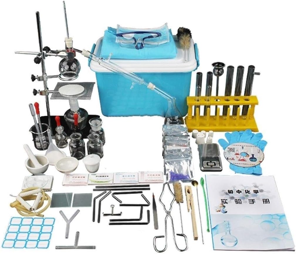 lepin big bang theory