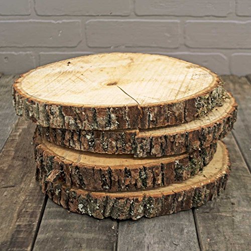 Natural Wood Slices, Round Basswood Slabs, 9 to 11 inches, Rustic Tree Bark Slice, Weathered Log