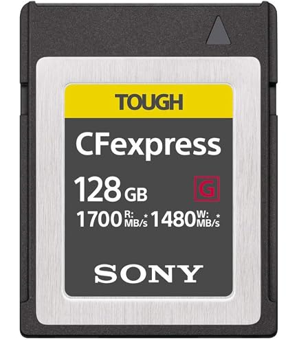 Amazon.com: Sony 240GB Tough CEB-G Series CFexpress Type B Memory