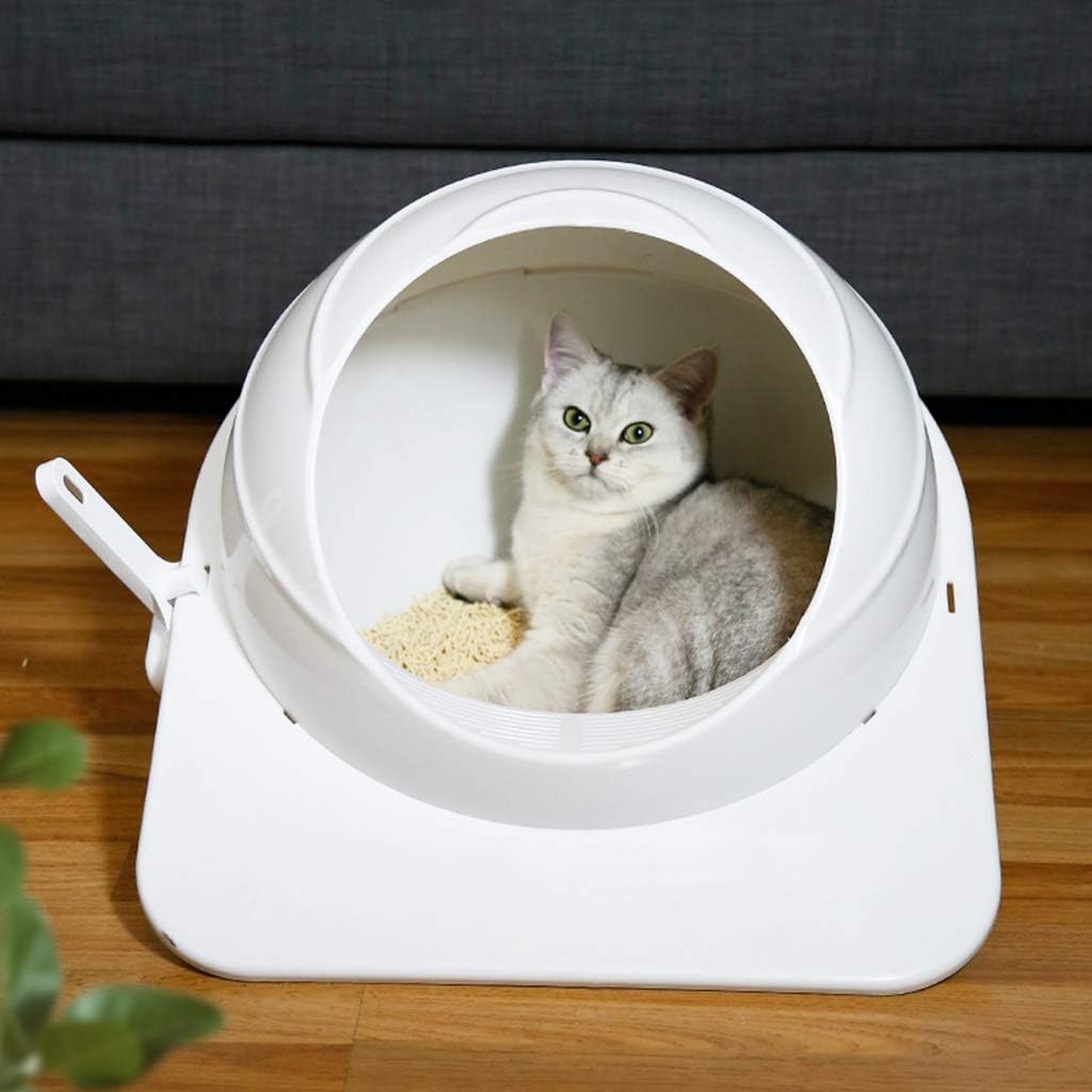 cat toilet sand