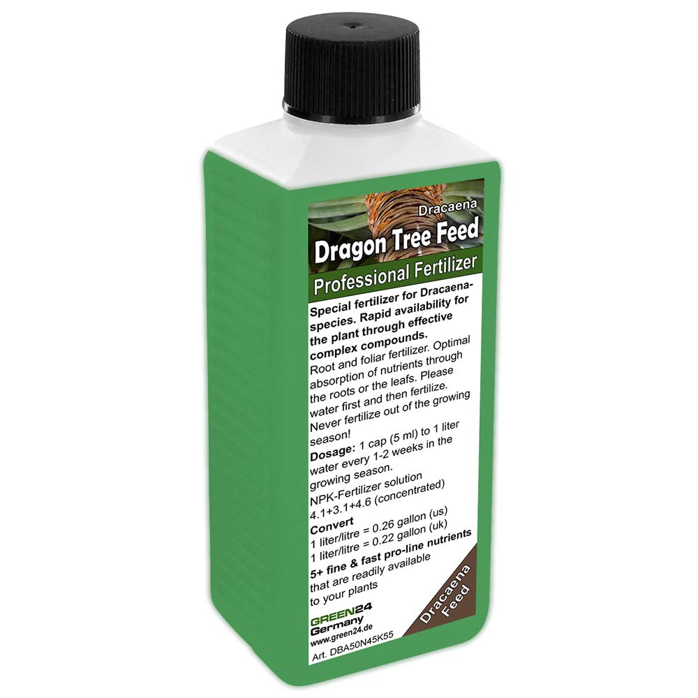 GREEN24 Dragon tree feed Liquid Fertilizer NPK for Dracaena, Shrubby Dracaenas, Asparagaceae, Cordyline