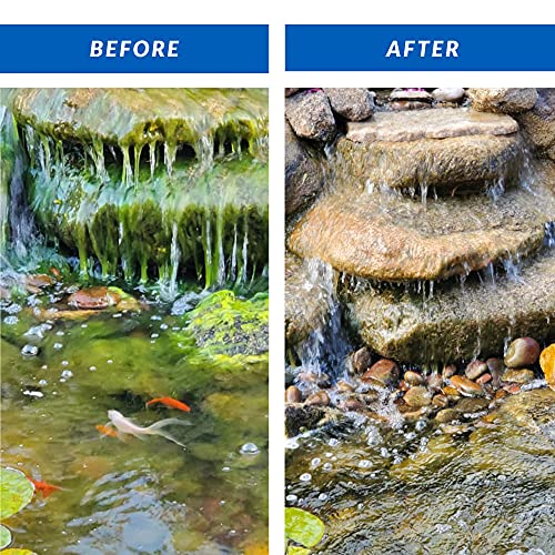 CrystalClear Algae DSolv Pond Algae Control Treatment, for Clearer