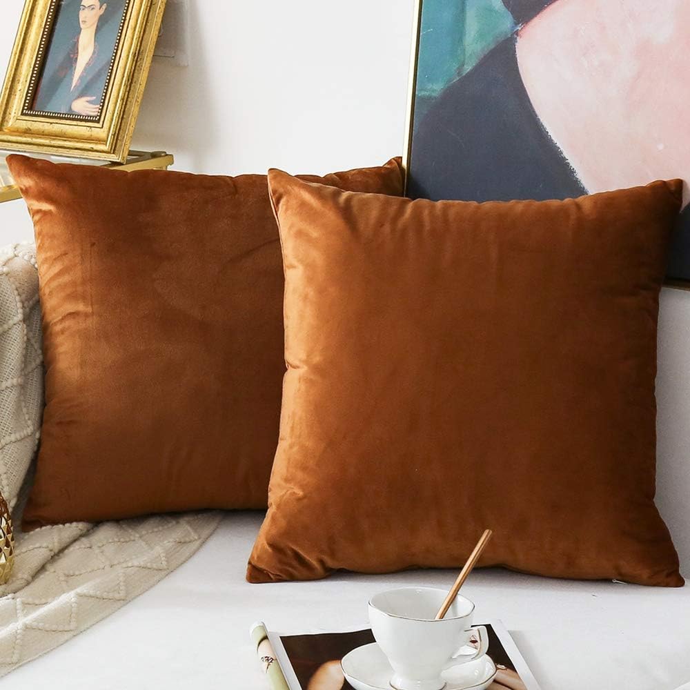 NATUS WEAVER Pack of 2,Velvet Soft Soild Decorative Square Throw Pillow Cover Set Cushion Case for Sofa Bedroom Car 18 x 18 Inch 45 x 45 cm