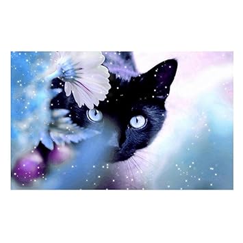 Whitelotous 5d Diamond Painting Diy Paint By Beads Kit Craft Home Wall Decor Black Cat 40 X 30 Cm