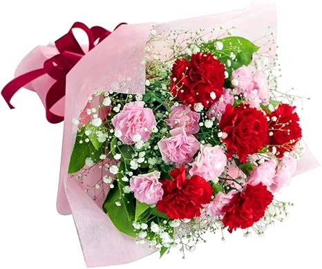 Amazon 母の日ギフト カーネーションの花束 Mt01az 花キューピット お祝い 誕生日 記念日 女性 人気 お礼 プレゼント 祖母 義母 家族 花束 オンライン通販