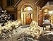 Homestarry HS-SL-010 Dimmable String Lights Pro, 240 LED's Copper Wire, with Wireless Handheld Remote Control, 12V Power Adapter, 40-Feet - Warm White