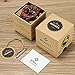 BEWELL W086B Mens Wood Watch Quartz Analog Luminous Hands Lightweight Wood Wrist Watch (Zebra Wood)