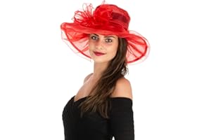 SAFERIN Women's Organza Church Kentucky Derby Fascinator Bridal Tea Party Wedding Hat