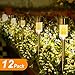 SUNNEST Solar Lights Outdoor Solar Garden Lights 12Pack Stainless Steel LED Solar Pathway Lights, Outdoor Landscape Lighting for Lawn/Patio/Yard/Walkway/Driveway Warm White