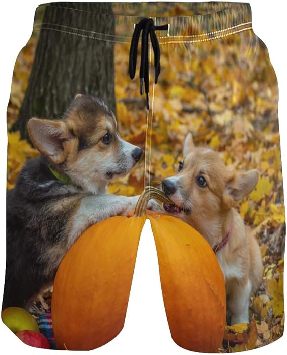 Welsh Dog Puppy Animal Swimming Trunks for Men Boy Quick Dry