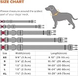 Taglory Reflective Nylon Dog Collar Safety Buckle XS Red view 8