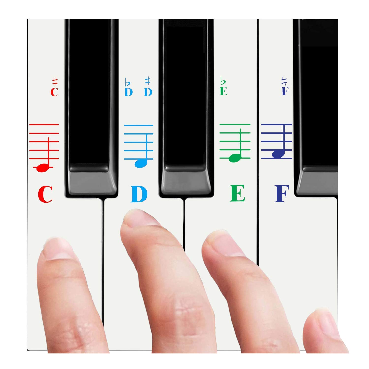QMG Piano Stickers for All White Keys (49/61/76/88 Keys) - Colorful Letters Transparent Removable Perfect Visual Tool for Kids Beginners