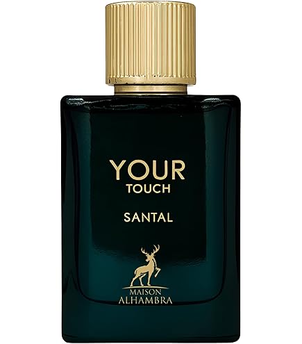 Amazon.com : Your Touch Oud by Maison Alhambra for Men - 3.4 oz