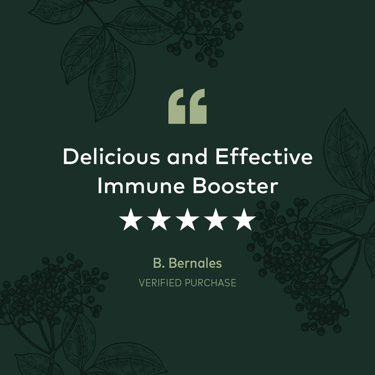 Gaia Herbs Black Elderberry Syrup - Daily Immune Support with Antioxidants, Organic Sambucus Elderberry Supplement, 5.4 Fl Oz (Pack of 1): Health & Personal Care