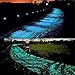 BeRicham 220Pcs Man-Made Glow in The Dark Garden Pebbles for Walkways, Decorations and Fish Tank, Christmas Decorations, Blue & Green