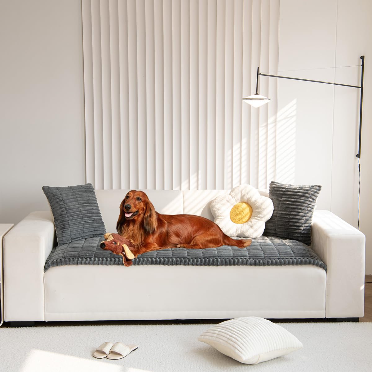 Photo 1 of Mitid Sofa Cover Fuzzy Couch Cover for Pet, Couch Covers for Dogs Washable Non-Slip Sofa Slipcover Cushion Protector Pets Friendly Mat Bed