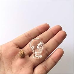 TAI DIAN Mini Hexagon Glass Bottles Pendants Small