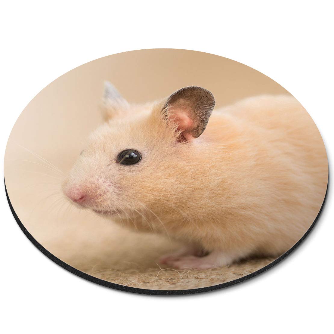 Cute Rodent Mouse Hamster - Flexible Round 5mm Rubber Mouse Mat Pad Office Home Novelty Printed Desk Accessory 3709
