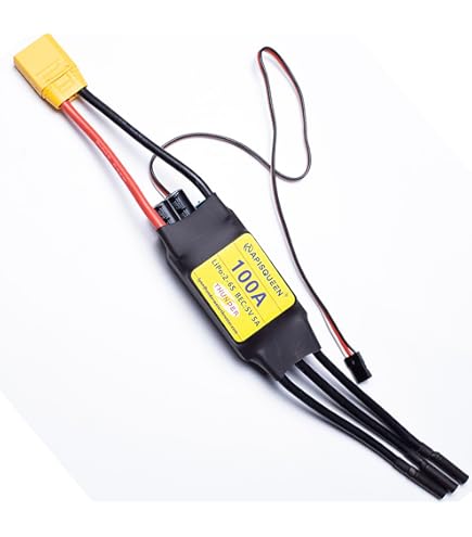 Amazon.com: HOBBYWING Platinum 80A V5 ESC : Toys & Games