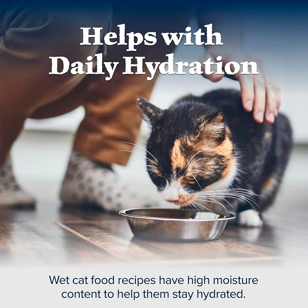 BLUE BUFFALO WILDERNESS ADULT CAT 7+ GRAIN FREE CHICKEN PATÉ WET CAT FOOD, SUPPORTS ENERGY FOR AN ACTIVE LIFE, MADE WITH NATURAL INGREDIENTS, 5.5-OZ. CANS (24 COUNT)