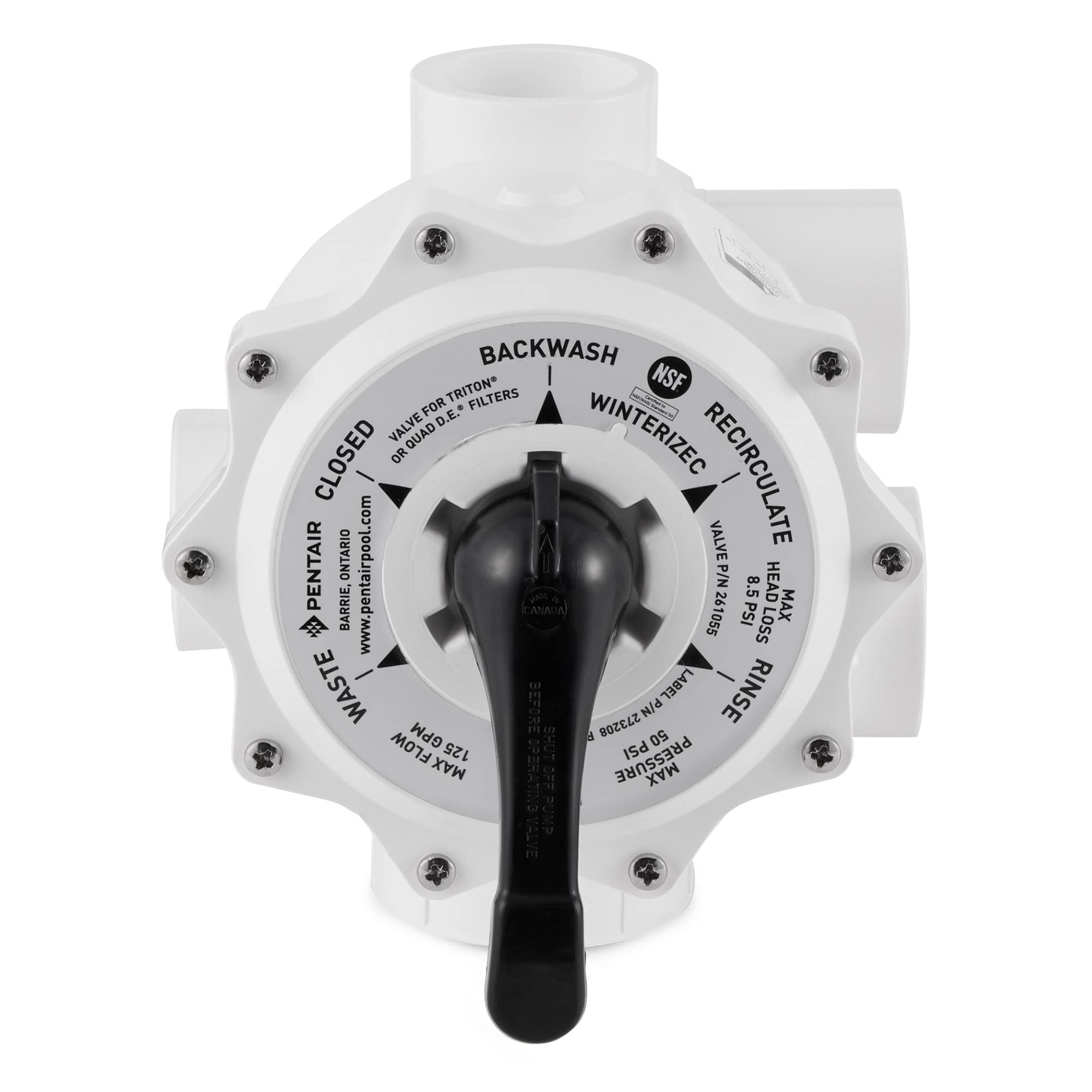 Mua Pentair 261055 Multiport Valve for Triton And Quad D.E. Filters, 2 ...