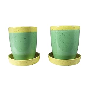 Lasaki Ceramic Mug Attached with Tray Plate Pots for indoor plants (Color:YP, D:8.5, H:10 cm) -Set of 2