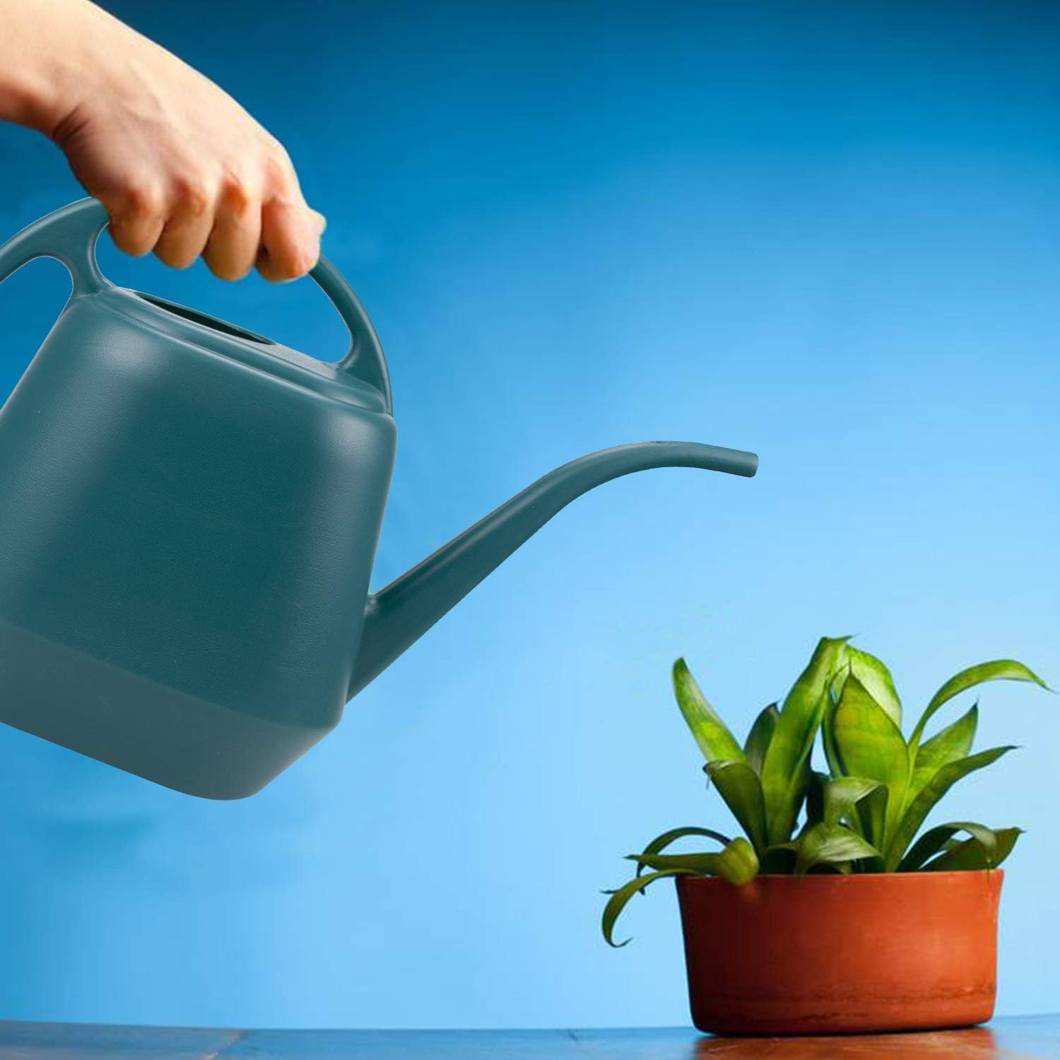 Fasmov Plastic Watering Can, 1-Gallon, Green : Garden & Outdoor