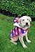 RC Pet Products Packable Dog Rain Poncho, Nautical, Medium