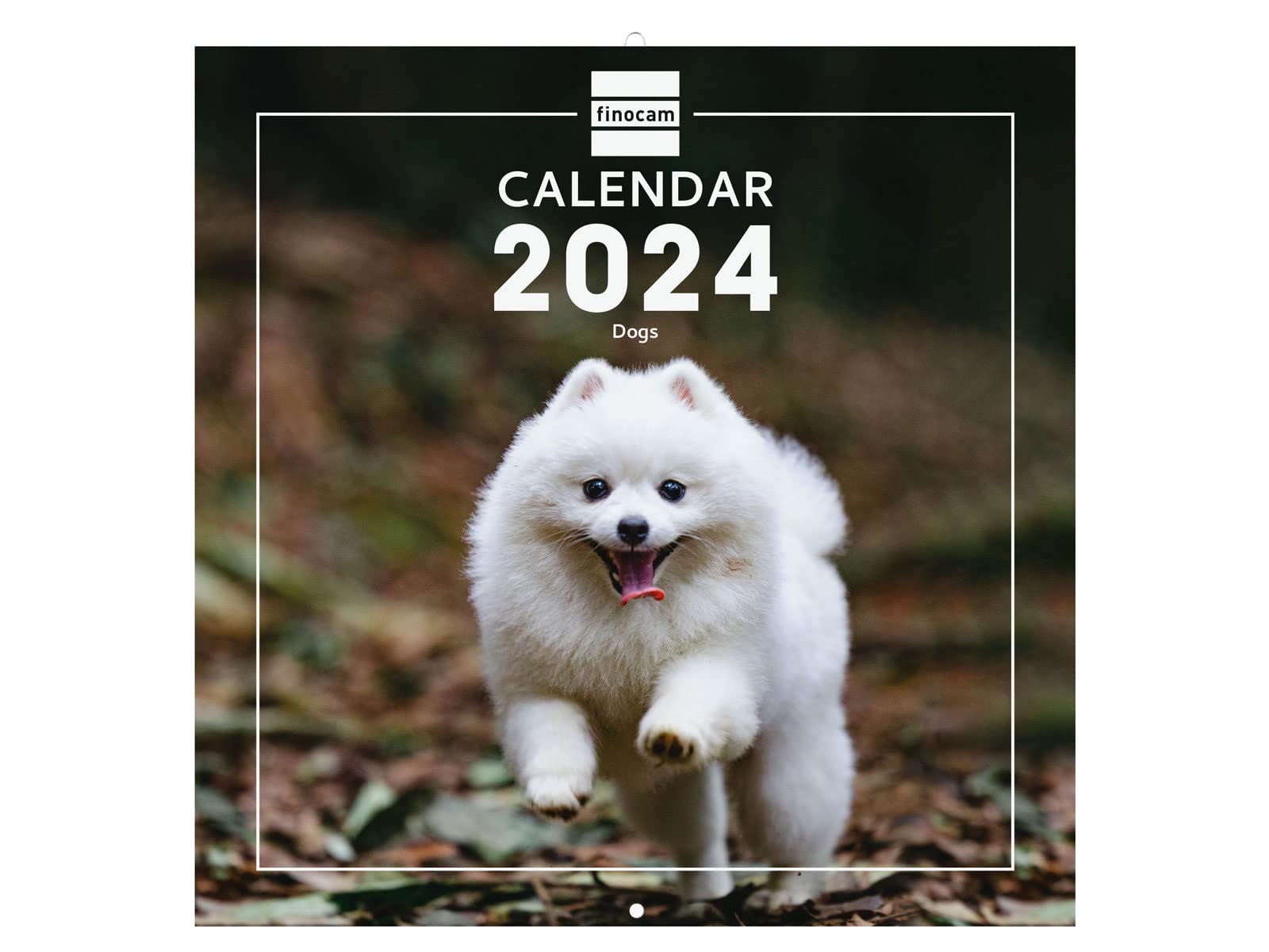 Finocam – Dogs International Wall Photo Calendar 2024 January 2024 – December 2024 (12 months)