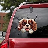 Cavalier King Charles Spaniel Car Decals - 2 Pack Realistic Dog Window Stickers 10x10 Inch