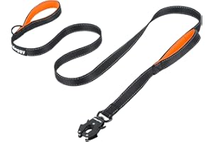 HEYDOGGY Strong Heavy Duty Dog Leash - 6ft Reflective Nylon Training Leash with Soft Padded Double Handle & Auto Lock Frog Clip - Safety Traffic Control for Large Medium Small Dogs No Pull Walk BlackOrange,6ft