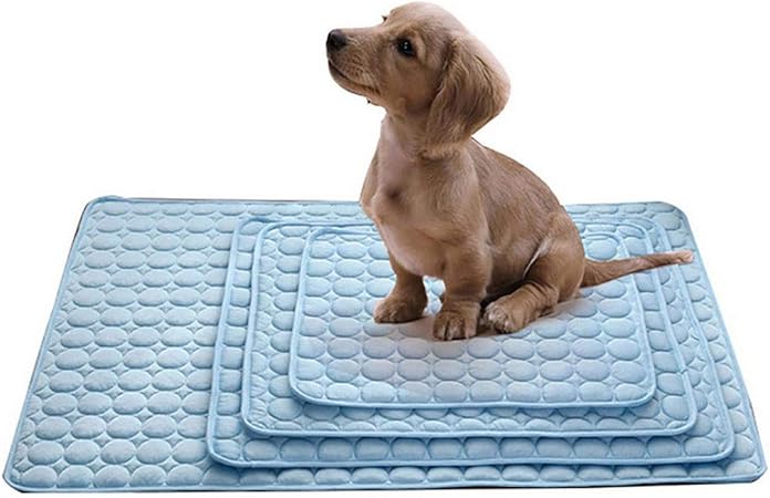 homemade dog cake recipes