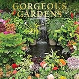 Gorgeous Gardens 2020 12 x 12 Inch Monthly Square Wall Calendar with Foil Stamped Cover by Plato, Ga by 