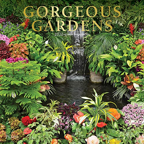 Gorgeous Gardens 2020 12 x 12 Inch Monthly Square Wall Calendar with Foil Stamped Cover by Plato, Ga by 