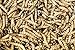 Josh's Frogs Superworms (200 Count)